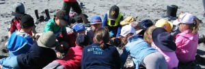 1 Penguins eye view with Hokitika primary school children March 2016 - 2 r