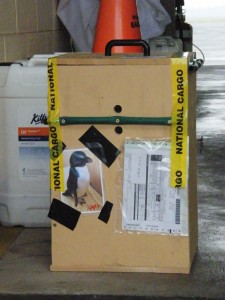 Gari in his special box at Hokitika airport in 2014