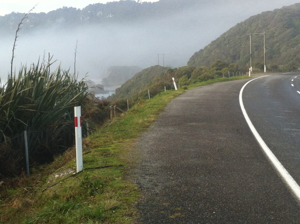 Penguin protection fence
