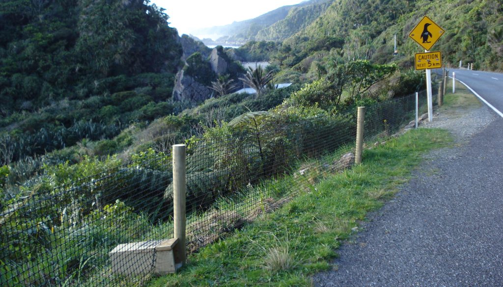 Penguin fence and sign, SH6