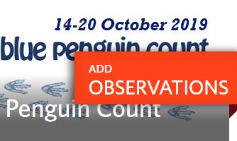 naturalist penguin census snip 2019