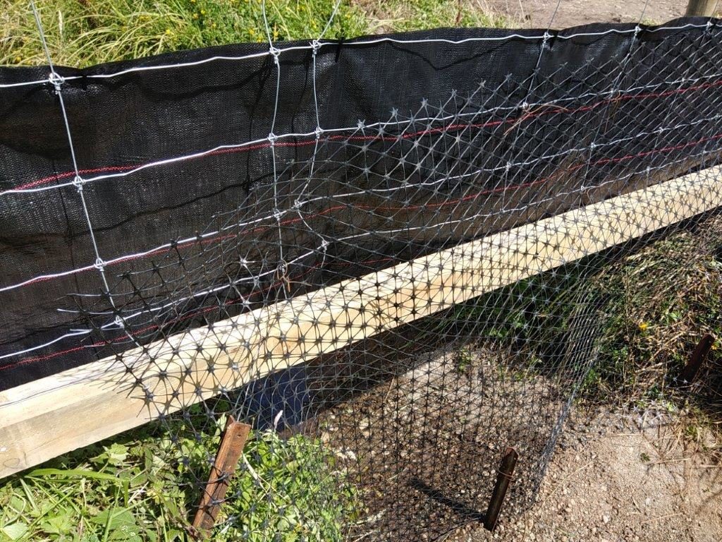 2020 02 WMP ocean outfall project