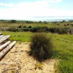 2020 02 WMP ocean outfall project