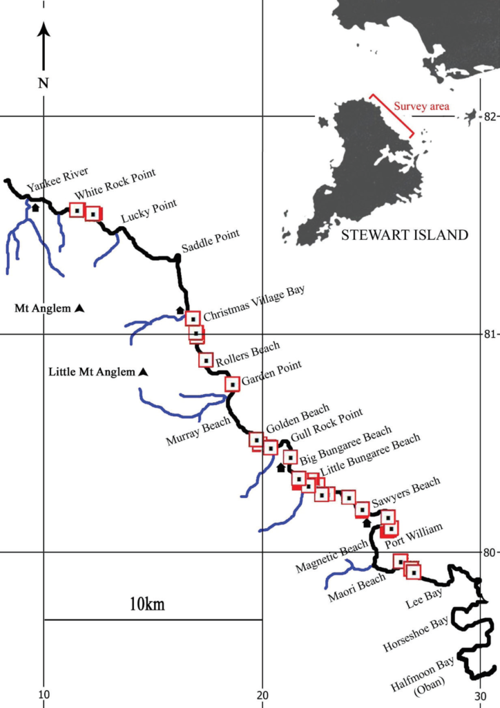 tawaki survey map