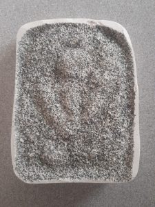 penguin footprint in plaster