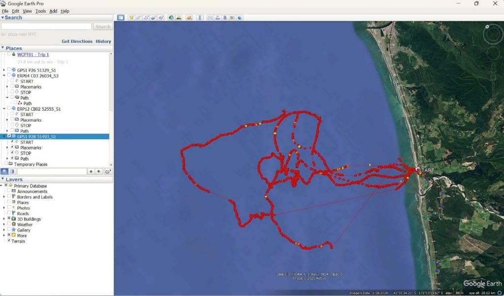 little penguin foraging map - chick guard stage