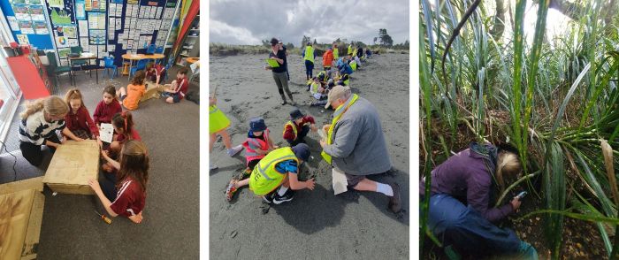 volunteers for penguin conservation