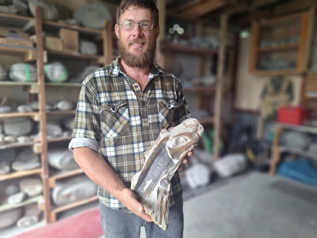 penguin fossil expert 