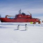 220px-Aurora_Australis_and_penguins