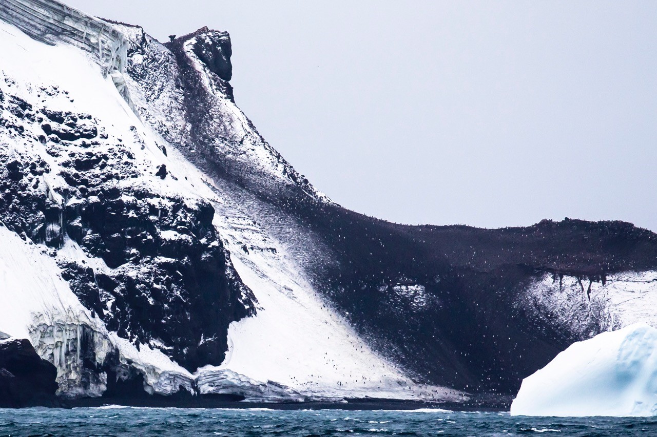 Balleny Island-Chinstrap colony. Photographer Chris Todd, Heritage Expeditions