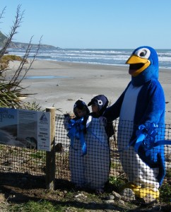 CLM's Kori the Korora and Reef and Amy as junior korora web