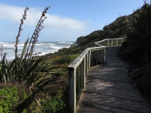 Cape Foulwind - home to NZ fur seals, sooty shearwaters and blue penguins