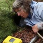 Kerry-Jayne burrowscope Ewing Island from video