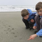 Luke and Adam Garside inspect tracks during the 2013 census