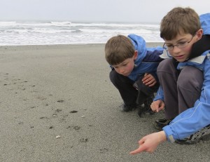 Luke and Adam Garside inspect tracks during the 2013 census