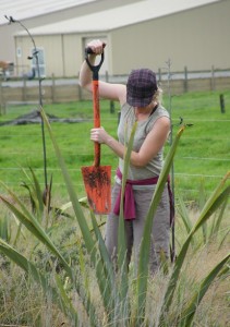 Megan digs holes for plants