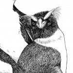 Tumbleweed tees close up