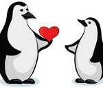 penguin love cartoon pic