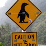 penguin sign coast roadLR