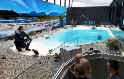 The-new-penguin-enclosure
