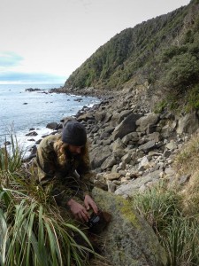 reuben installing motion sensor camera