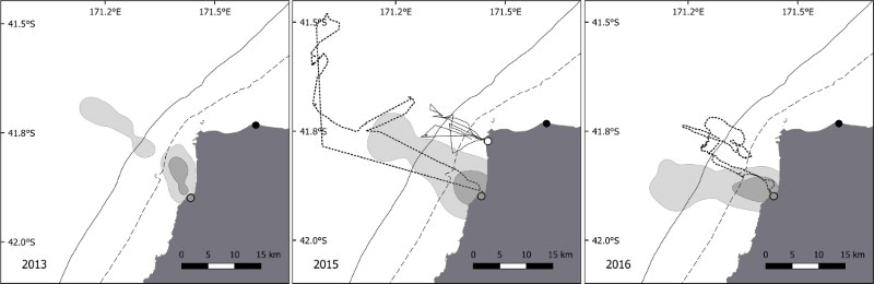 Foraging range of blue penguins